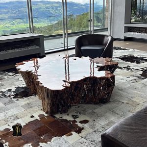 Sala-con-piel-de-vaca-479